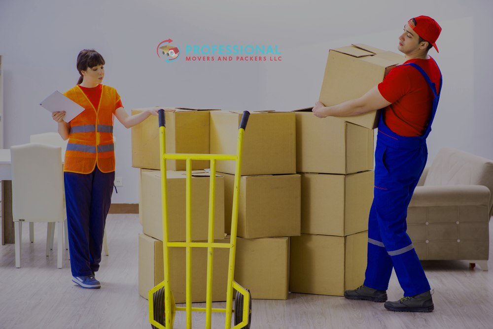 Apartment Shifting Services